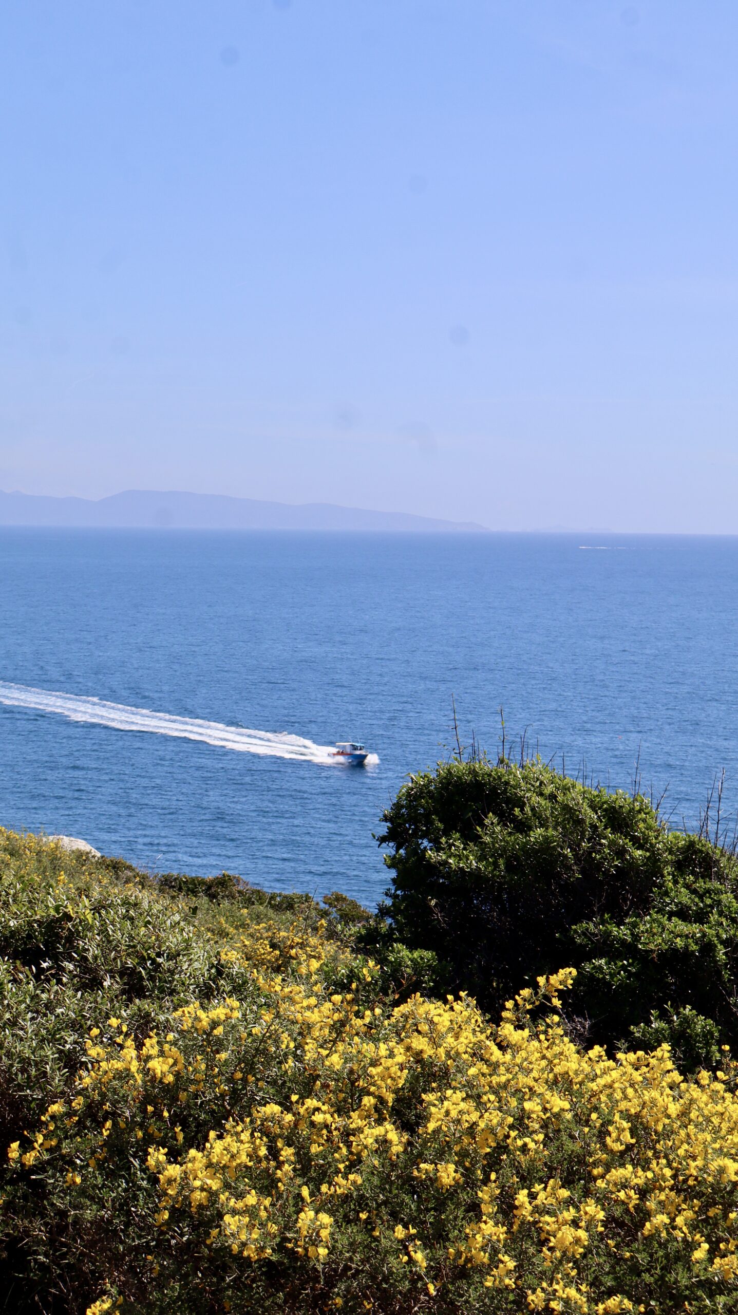 Communication pour notre client Ouest Corsica