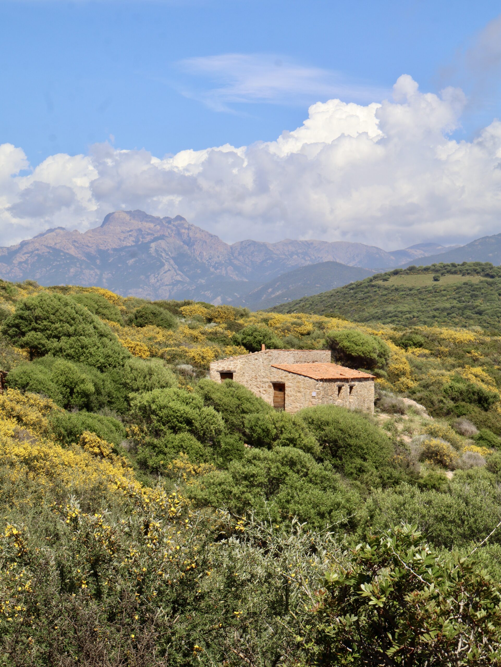 Communication pour notre client Ouest Corsica
