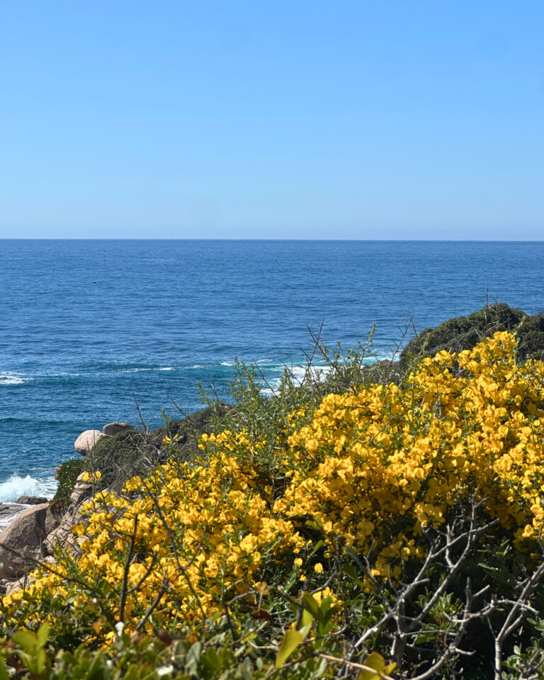 5 erreurs fréquentes dans la communication des petites structures en Corse